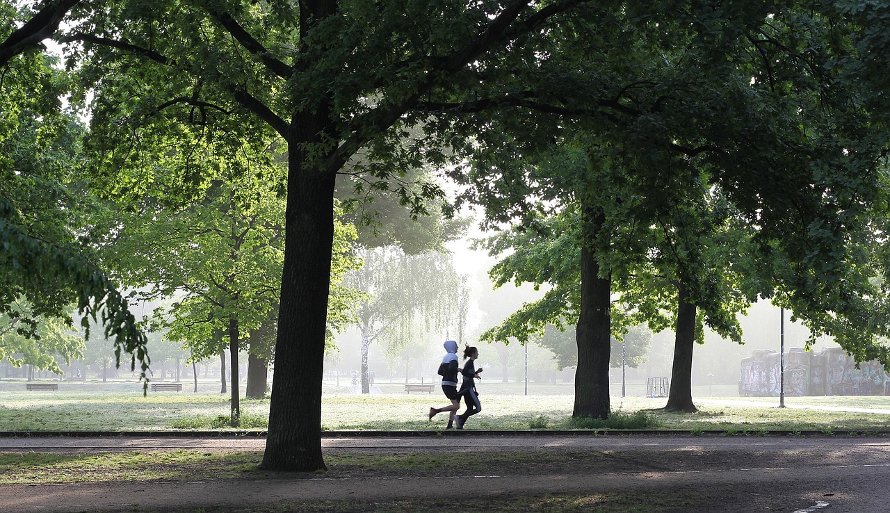 People jogging in a park